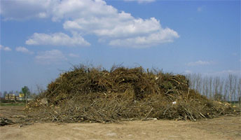 Auf Grund der Waldbrandwarnstufe IV durften die Holzstapel auf dem Mhlberg nicht angezndet werden.