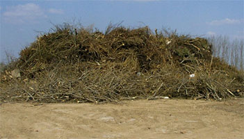 Auf Grund der Waldbrandwarnstufe IV durften die Holzstapel auf dem Mhlberg nicht angezndet werden.