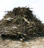 Auf Grund der Waldbrandwarnstufe IV durften die Holzstapel auf dem Mhlberg nicht angezndet werden.