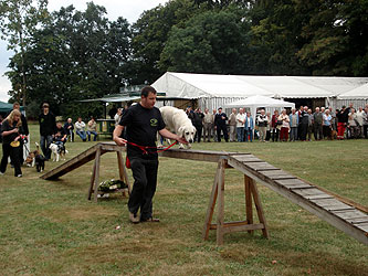 100 JAHRE FEUERWEHR-FESTUMZUG & Parkfest - 2009