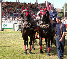 9. Titanen der Rennbahn - 2010