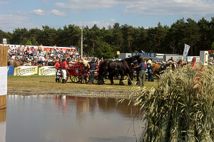 9. Titanen der Rennbahn - 2010