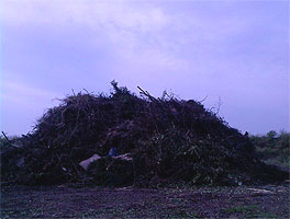 18. Oktoberfeuer Grfendorf - 2010